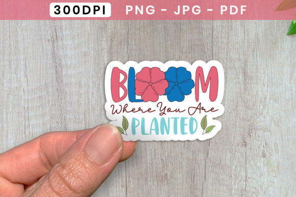 Bloom Where You Are Planted PNG